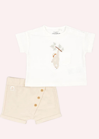 Losan Baby Boy T-Shirt Set - P0602_24006