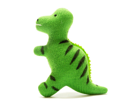 Best Years Baby T Rex Dinosaur Sensory Toy